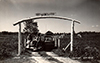 Postcards - 1950's: Pop and Mom's Ranch